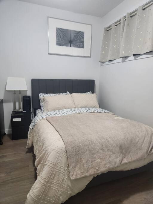 Modern 2 Bedroom Basement Suite At West Edmonton Exterior foto
